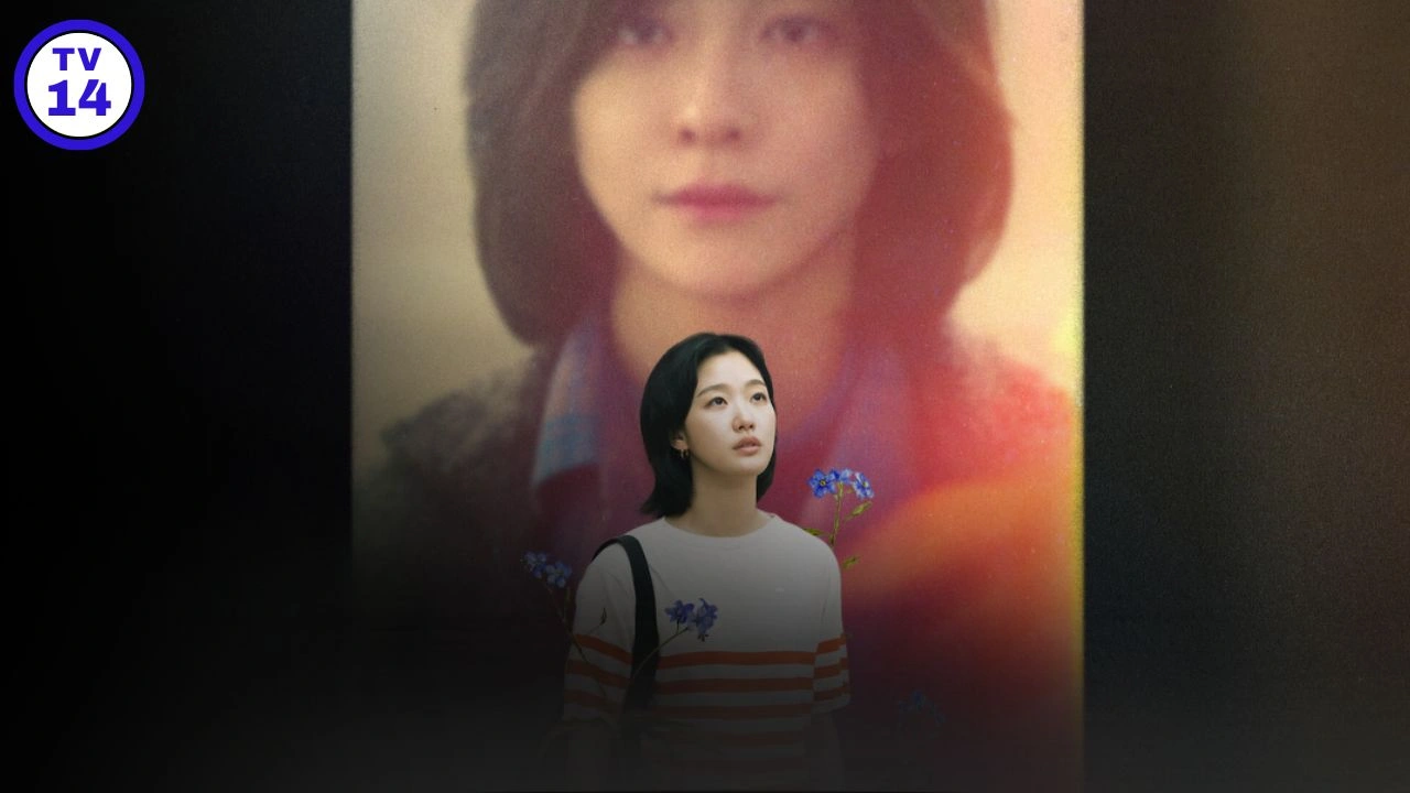 You and Everything Else Parents Guide – Is It Suitable for Teens? (2025) 1 You and Everything Else Parents Guide Age Rating