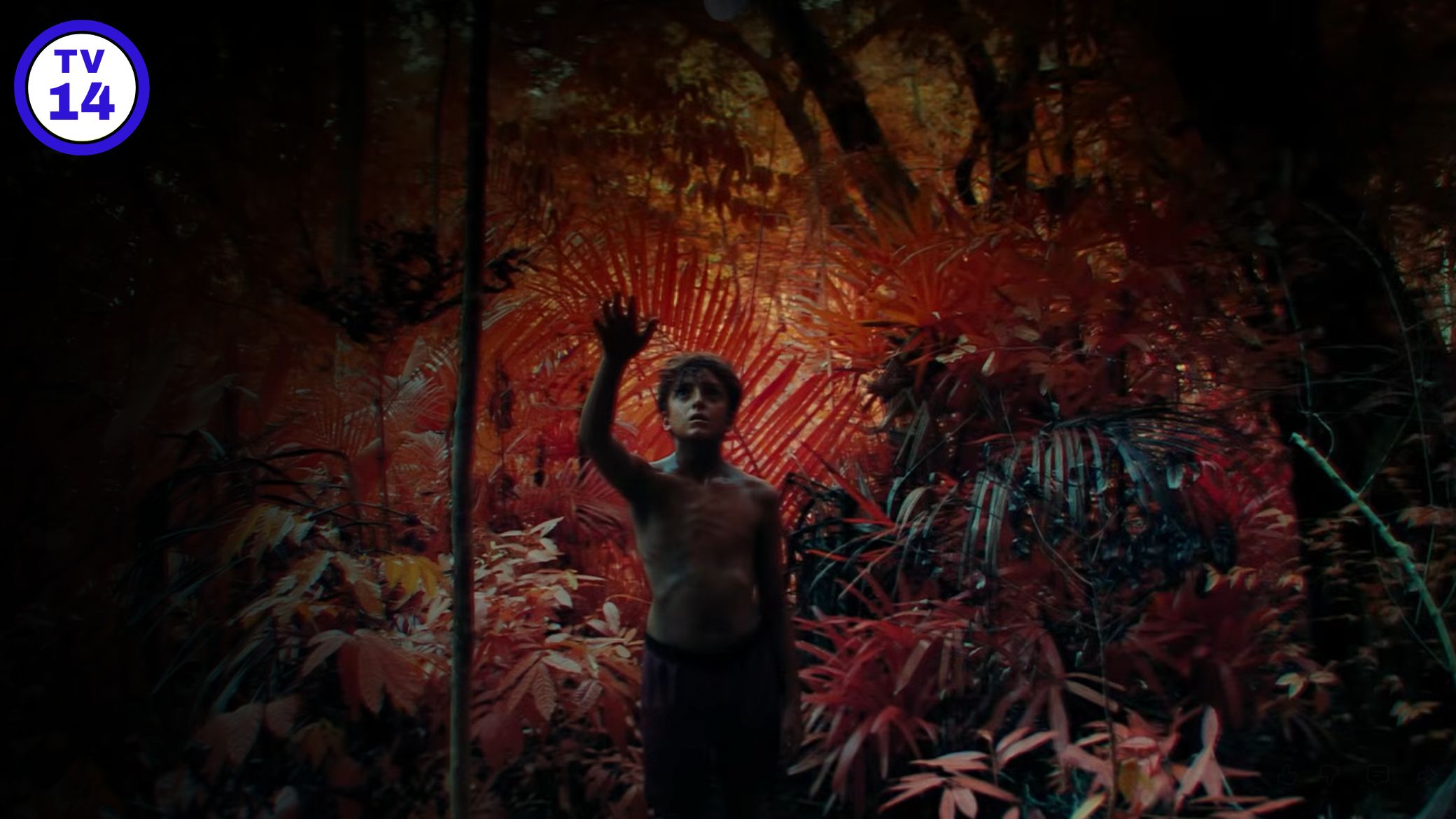 Lord of the Flies Parents Guide Age Rating