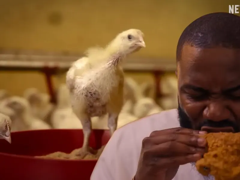 Big Chicken: A Fast Food Conspiracy Parents Guide (2026) – Is This Netflix Documentary Suitable for Teens?