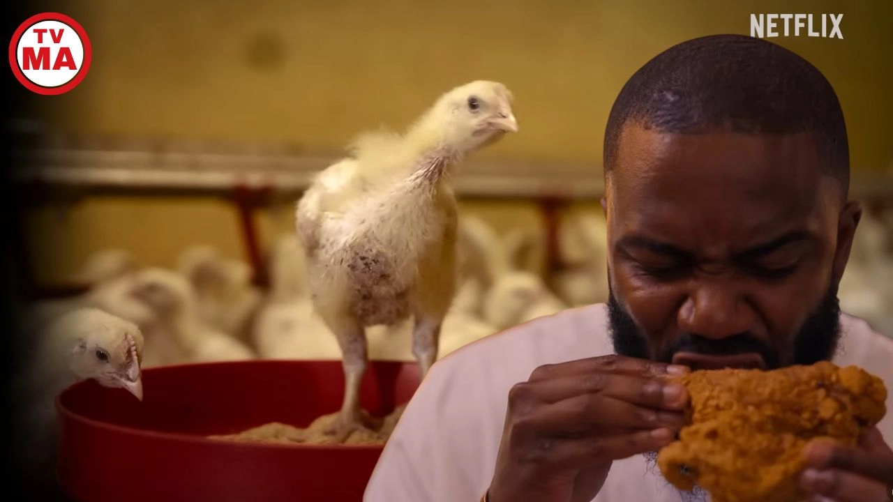 Big Chicken A Fast Food Conspiracy Parents Guide Age Rating